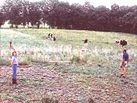 Alice and David use rotational grazing to heal damaged croplands.